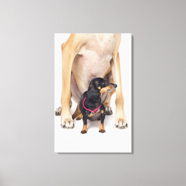Great dane och Dachshund porträtt Canvastryck (Framsida)