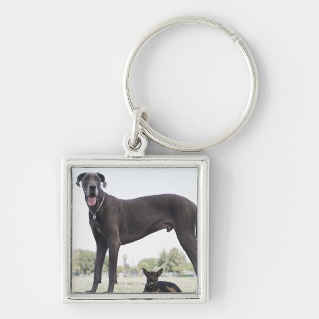 Great dane och liten blandras fyrkantig silverfärgad nyckelring (Framsidan)