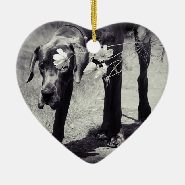 Great Dane Ornaments Photo Gift Julgransprydnad Keramik (Framsidan)