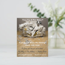 Great dane på Soffa Pet Sitta Flyer 4x5