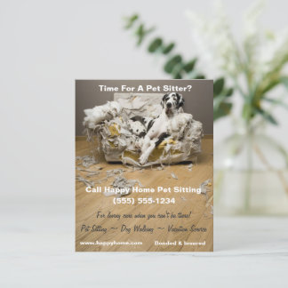 Great dane på Soffa Pet Sitta Flyer 4x5