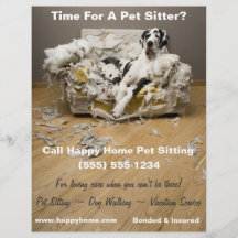 Great dane på Soffa Pet Sitta Flyer 8 x 11