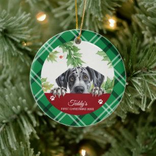 Great dane Personlig Första jul Julgransprydnad Keramik
