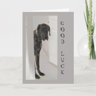 Great dane Pet Dog Humor Lycka till Roligt Kort