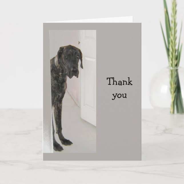 Great dane Pet Dog Humor Tack (Framsida)