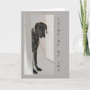 Great dane Pet Dog Humor tänker på dig Kort