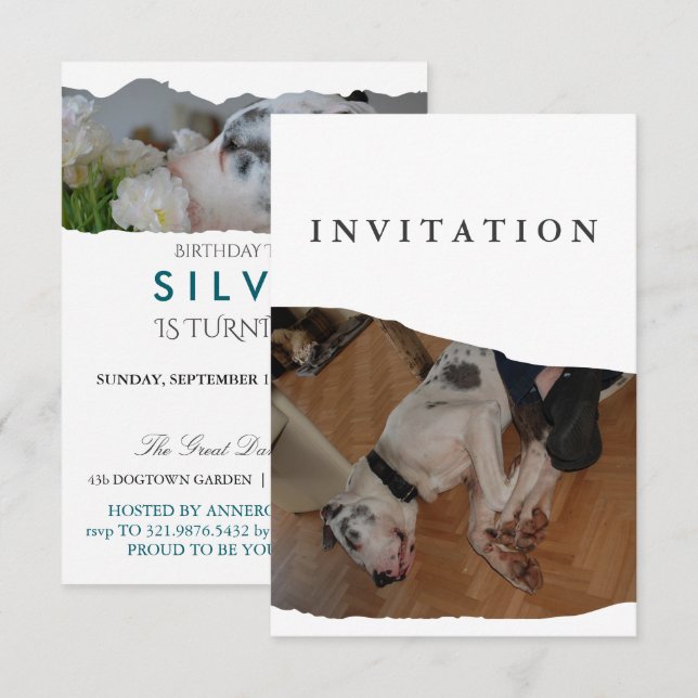 Great Dane Photo invitation  Inbjudningar (Fram/baksida)