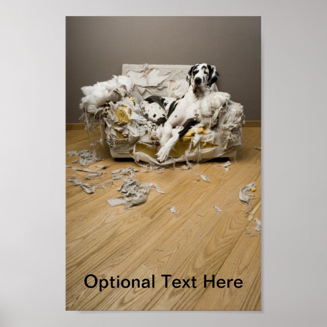 Great dane Poster (Framsidan)