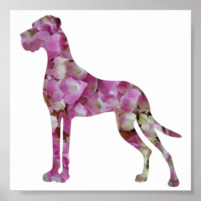 Great dane poster (Framsidan)