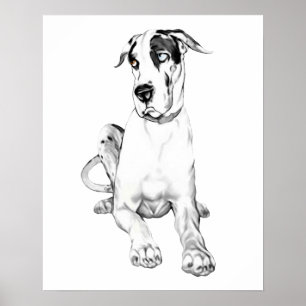 Great dane Pouting Harlequin Poster