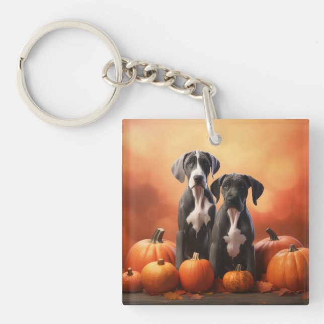Great dane Pumpkin för höstdelight (Framsidan)