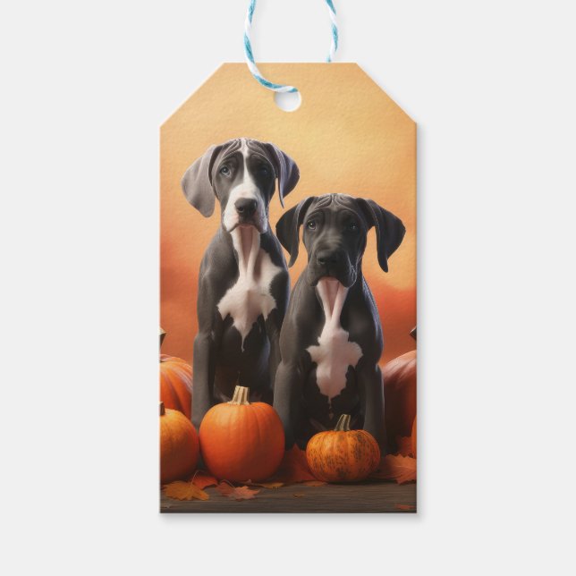 Great dane Pumpkin för höstdelight Presentetikett (Framsidan)