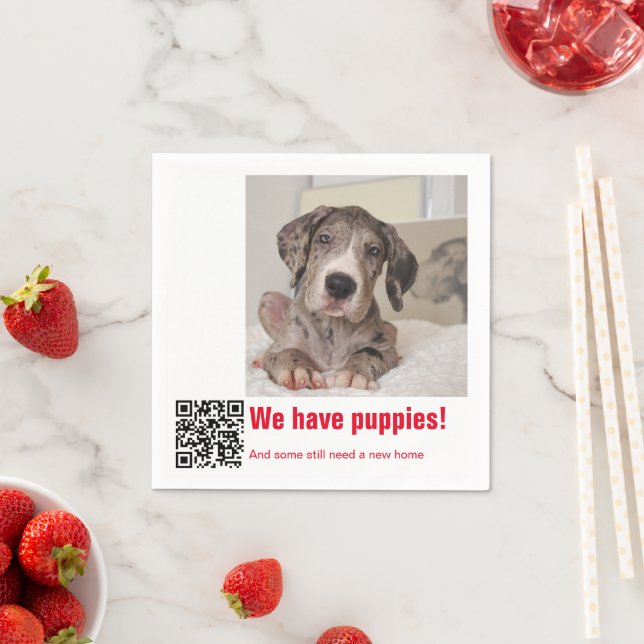 Great dane Puppy till salu Pappersservett (Insitu)