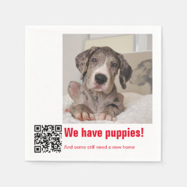 Great dane Puppy till salu Pappersservett