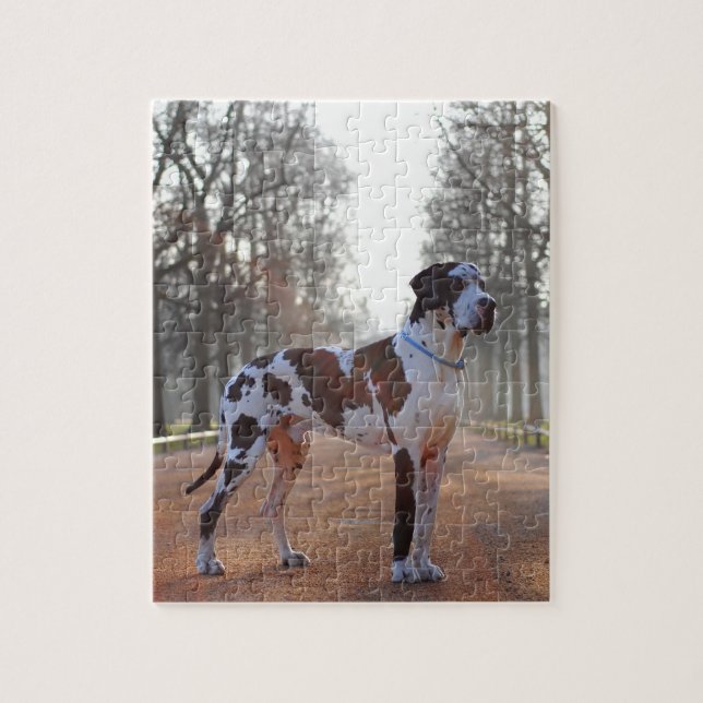 Great Dane Pussel (Vertikal)
