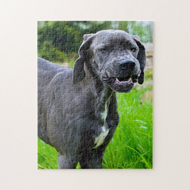Great dane. pussel (Vertikal)