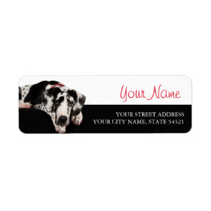 great dane returadress etikett