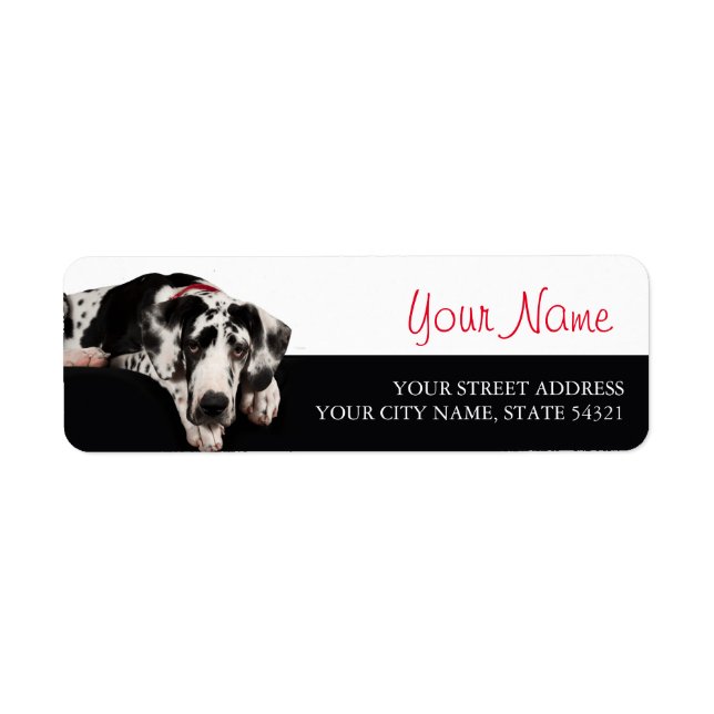 Great dane returadress etikett (Framsidan)