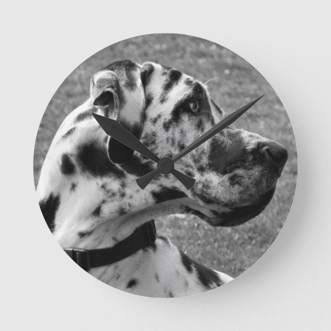 GREAT DANE RUND KLOCKA (Framsida)