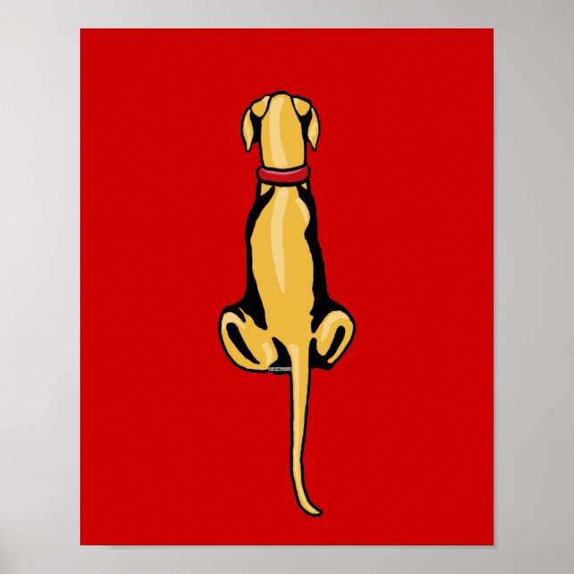 Great dane Sit Fawn UC Poster (Framsidan)