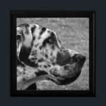 GREAT DANE SMYCKESKRIN<br><div class="desc">En vacker svart och vit design av en hund i Great dane. England UK.</div>