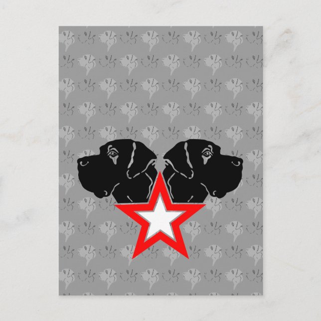 Great dane Star Head Vykort (Framsida)