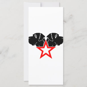 Great Dane Star Huvud