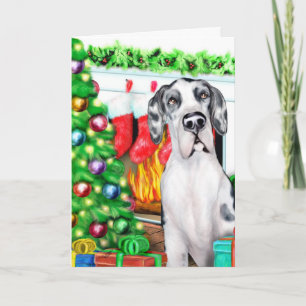 Great dane Stockings Harlequin UC Helgkort