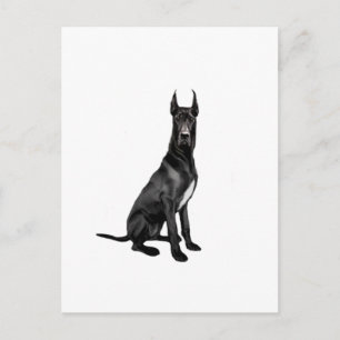 Great Dane - Svart (öron klippta) Vykort