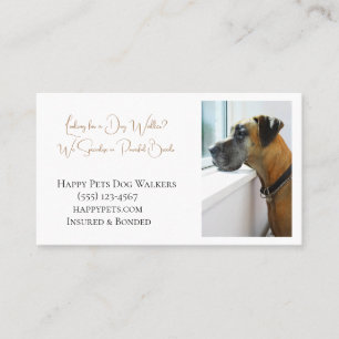 Great dane Tittar tyvärr ut fönster för Dog Walker Visitkort