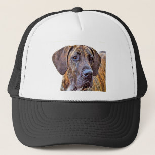 Great dane truckerkeps
