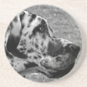 GREAT DANE UNDERLÄGG SANDSTEN