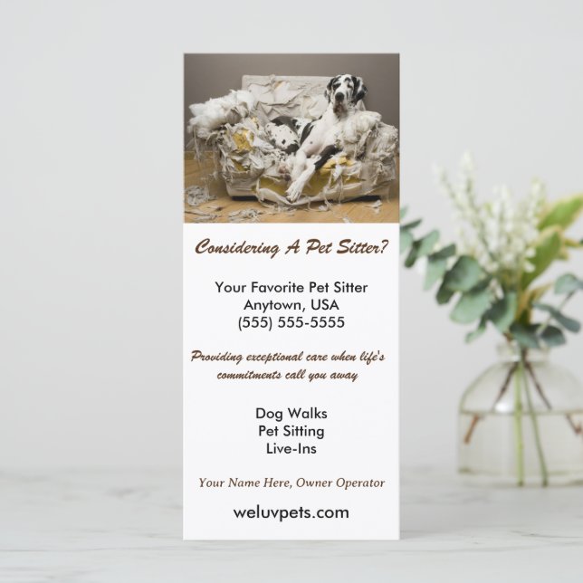 Great dane-uppslammade på Soffa-pet-platsen (Stående Fram)