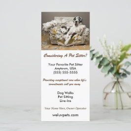 Great dane-uppslammade på Soffa-pet-platsen