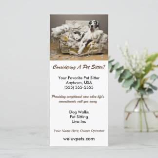 Great dane-uppslammade på Soffa-pet-platsen