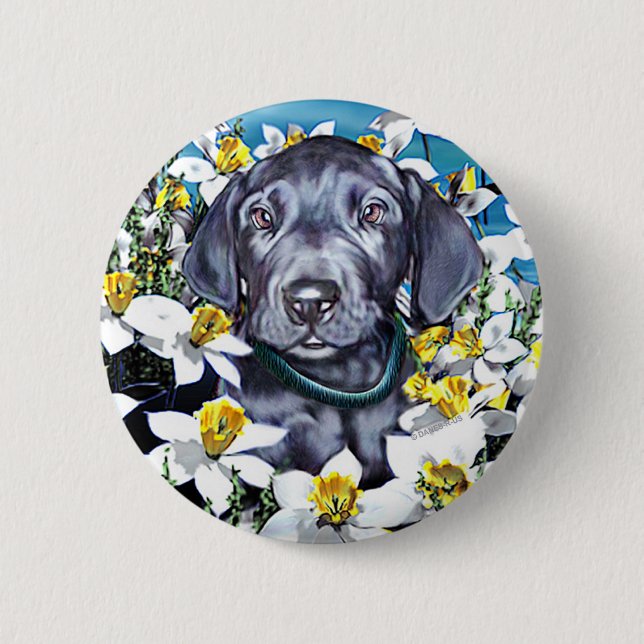 Great dane Valp i Daffodils Blue Knapp (Framsida)