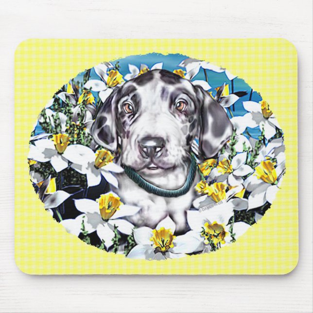 Great dane Valp i Daffodils Harlequin Musmatta (Framsidan)