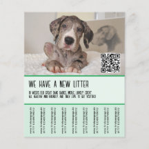 Great dane-valpar för försäljning