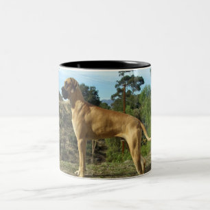 Great danekaffemugg Två-Tonad mugg