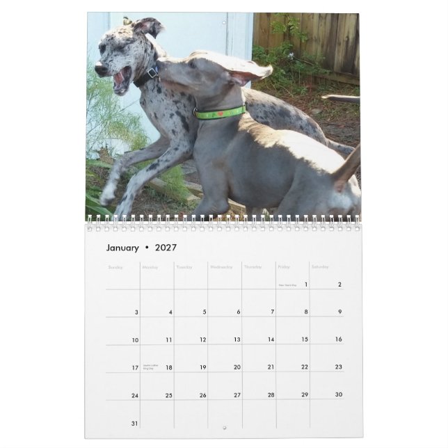 Great danekalender "som kopplar av runt om huset kalender (Jan 2027)