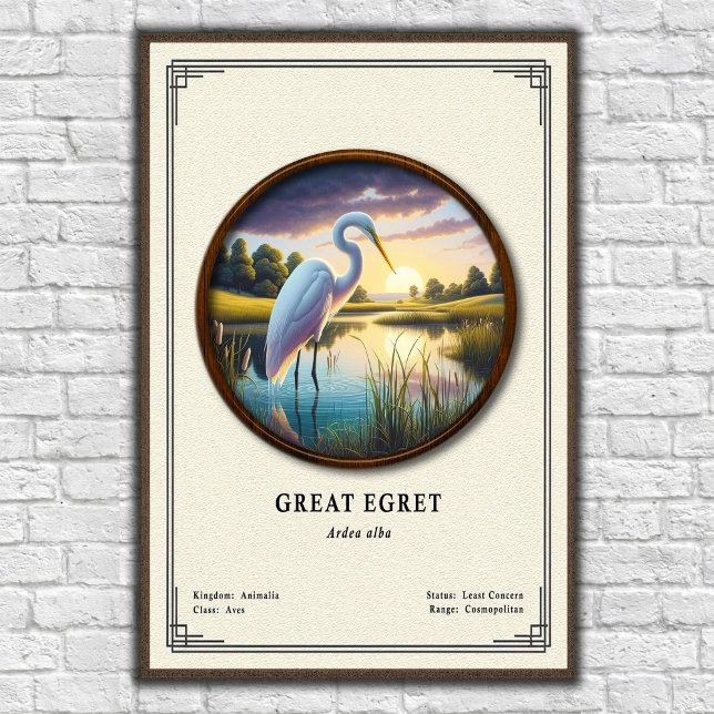 Great Egret Zoology Series Poster (Skapare uppladdad)