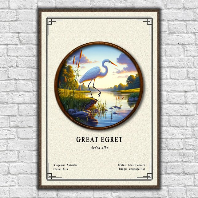 Great Egret Zoology Series Poster (Skapare uppladdad)