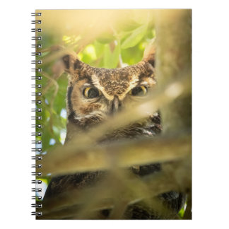 Great Horned Owl Wildlife Nature Photo Art Print  Anteckningsbok