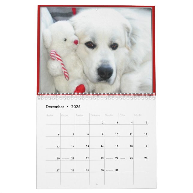 Great Pyrenees Calendar Kalender (Dec 2026)