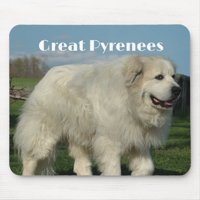 Great Pyrenees Musmattor (Framsidan)