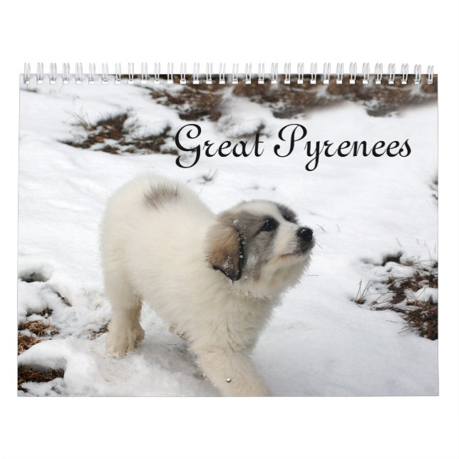 Great Pyrenees Puppy Calendar Kalender (Omslag)