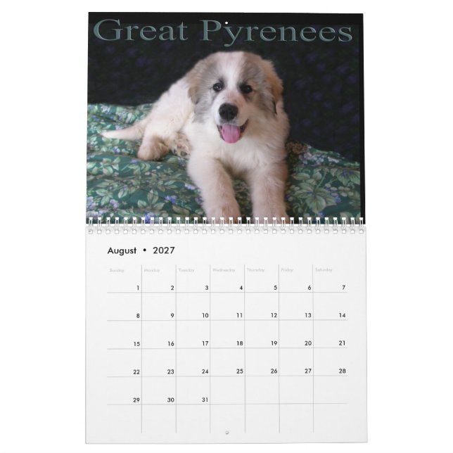 Great Pyrenees Puppy Calendar Kalender (Aug 2027)