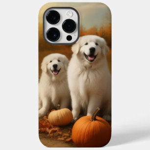 Great Pyrenees Valp Höstglädje Pumpa