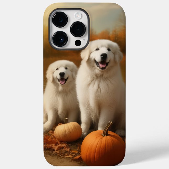 Great Pyrenees Valp Höstglädje Pumpa  (Baksida)