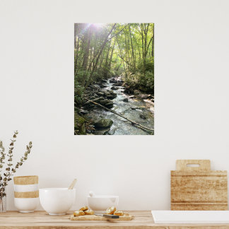 Great Smoky Mountains Bergström Poster